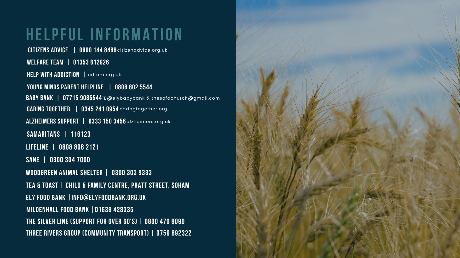 PANTRY ONLINE GRAPHIC (3)