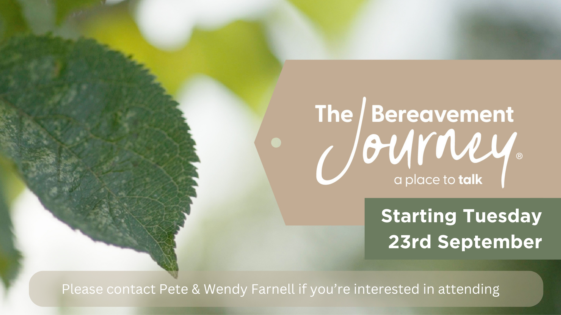 Bereavement Journey (1)